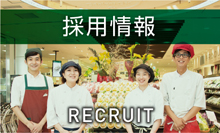 RECRUIT 2015採用情報