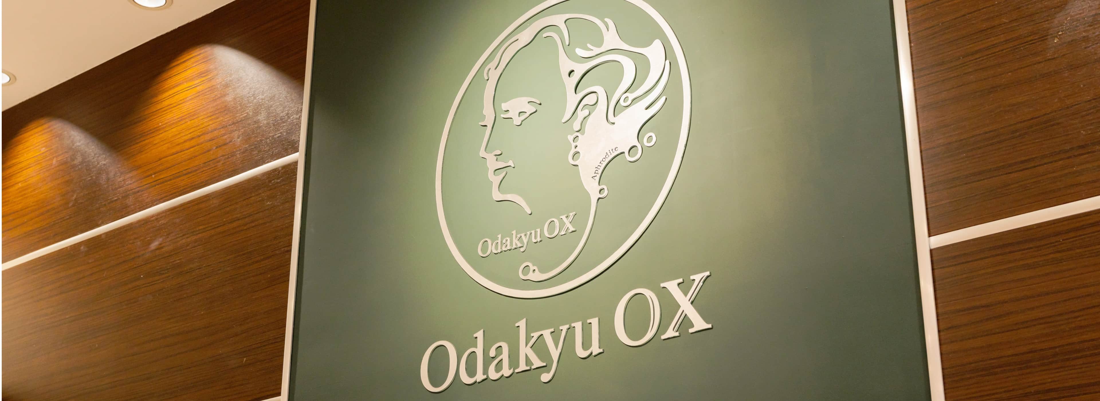 odakyuOXのロゴ